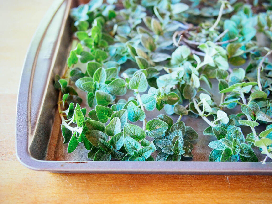 How to Dry Oregano (and Other Herbs) Fast—Use the Oven! Garden Betty