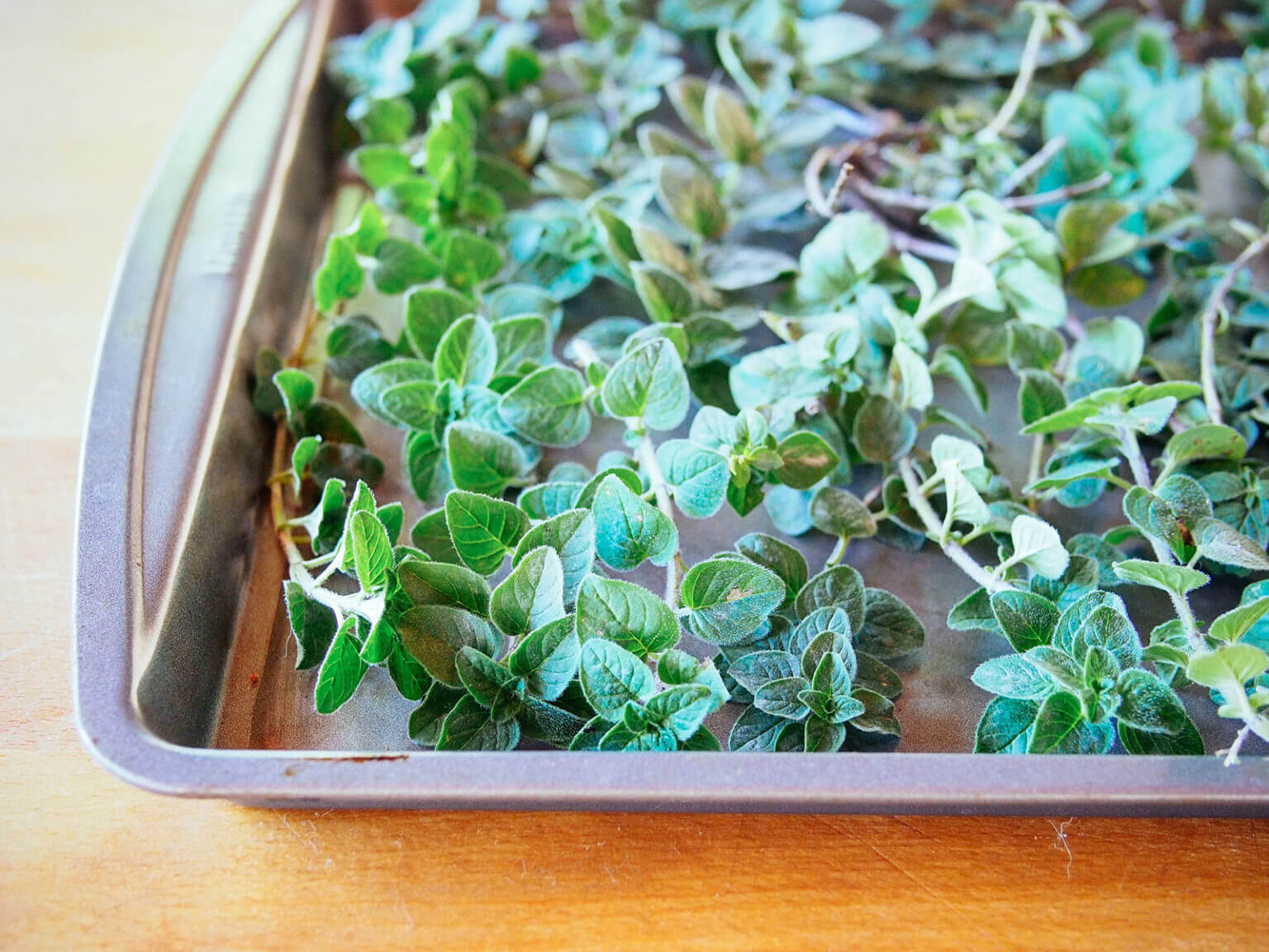 How to Dry Oregano (and Other Herbs) Fast—Use the Oven! Garden Betty