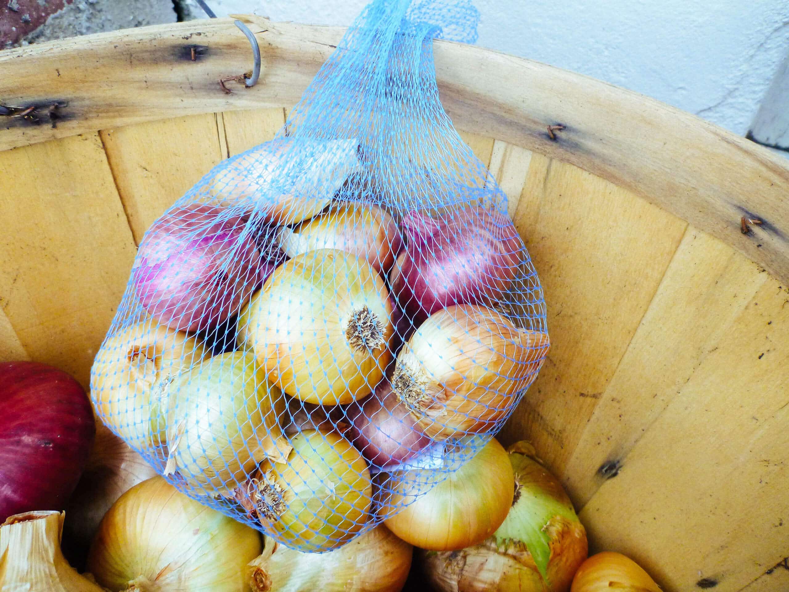Red and yellow globe onions in mesh nylon bag