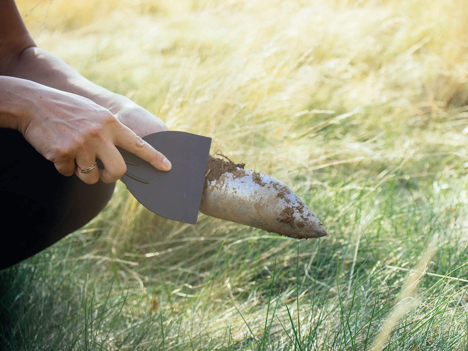 Putty knife scraping caked-on dirt off a garden trowel