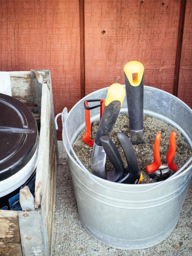 DIY tool cleaning station: the fastest way to clean garden tools