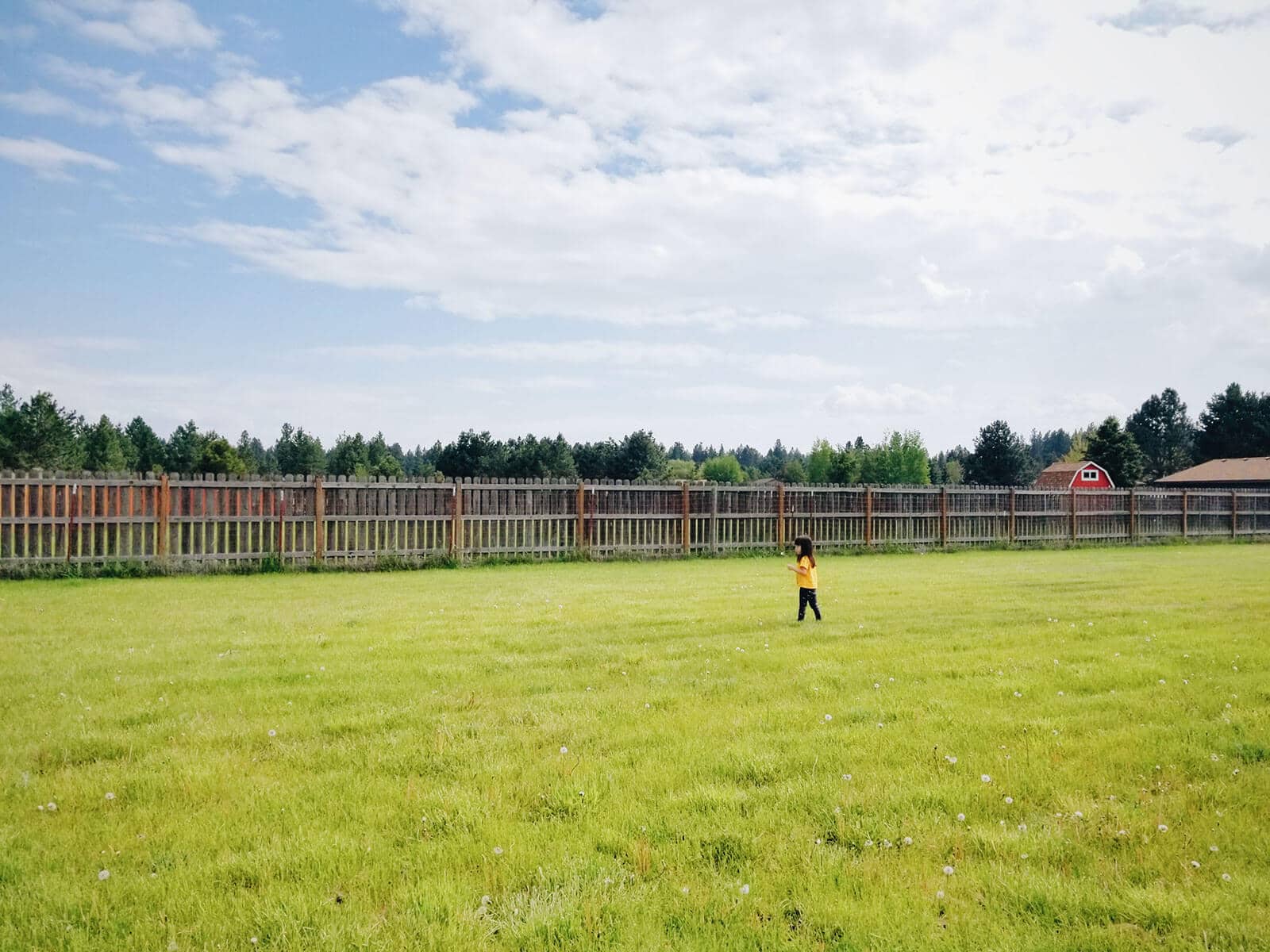 Wide view of future lawn and play area