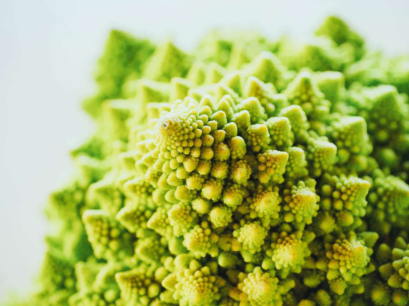 Close-up of a Fibonacci sequence spiral on Romanesco broccoli
