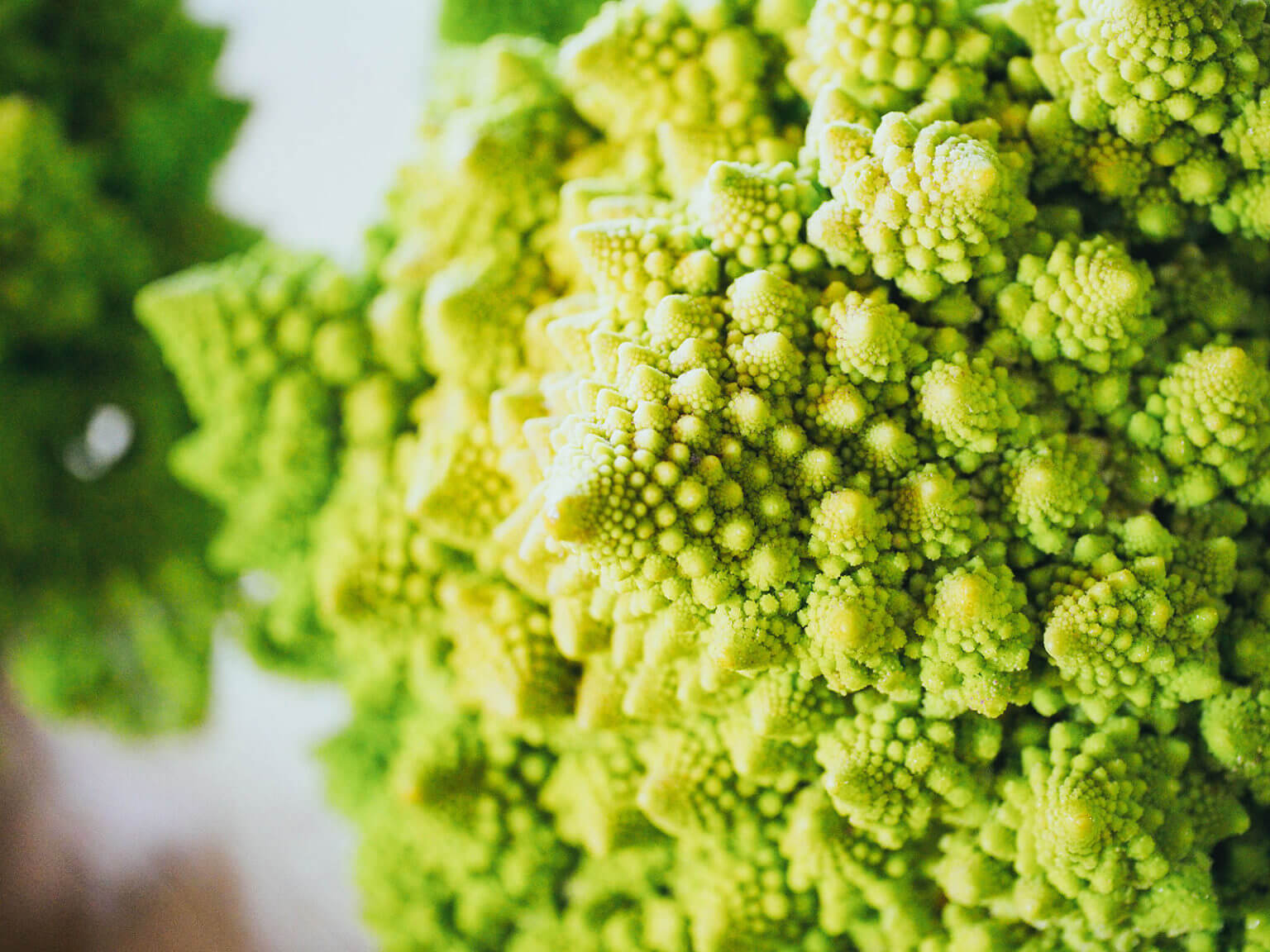 There’s a Fibonacci Fractal in This Remarkable Romanesco Broccoli Garden Betty