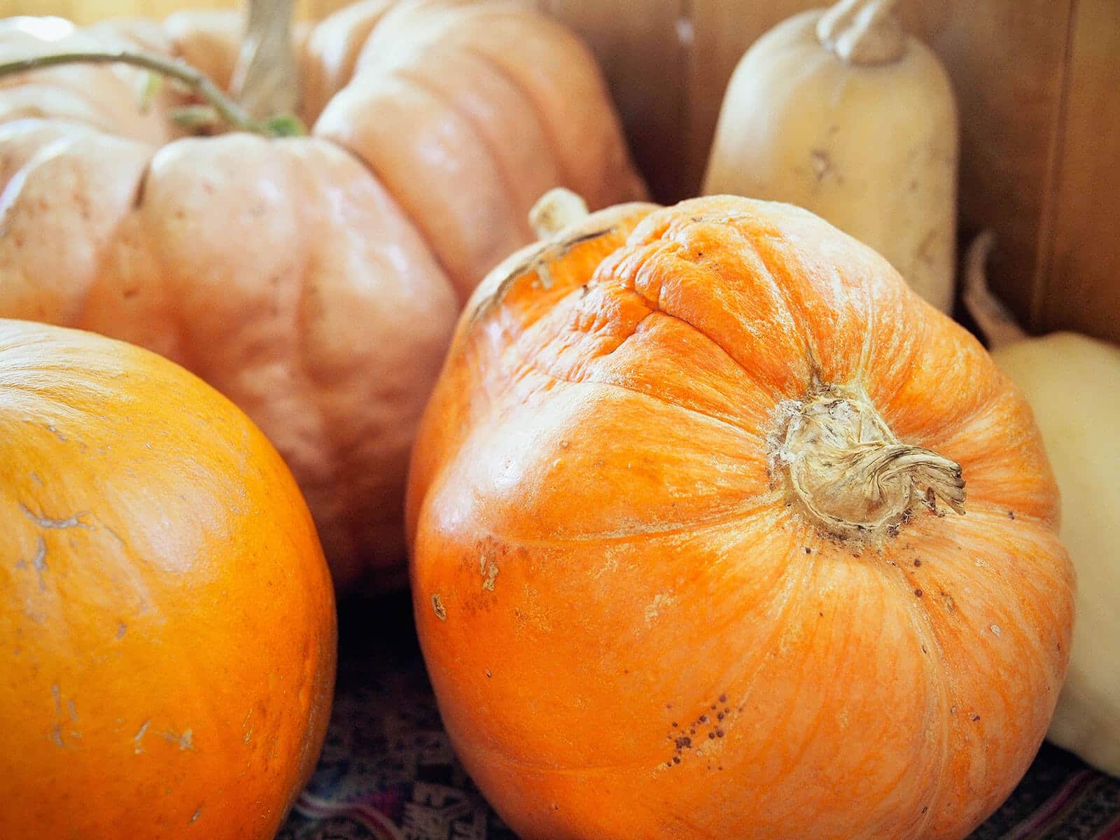 Close-up of various orange and yellow winter squash in storage