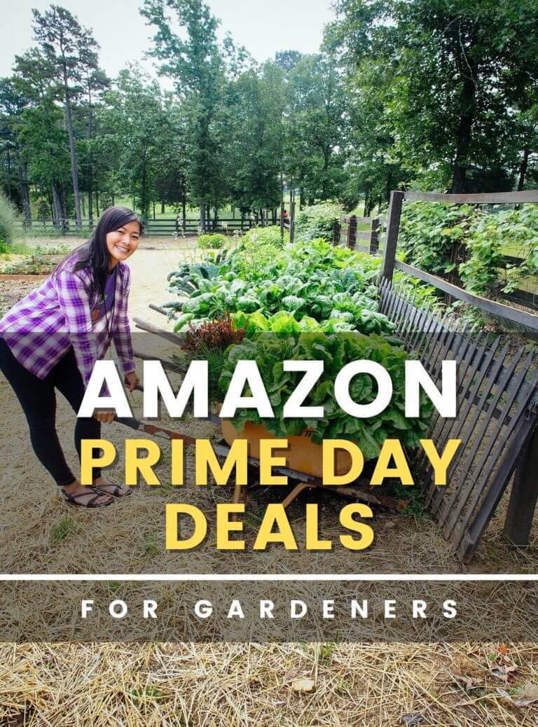 Amazing Amazon Prime Day Deals for Gardeners (2022)