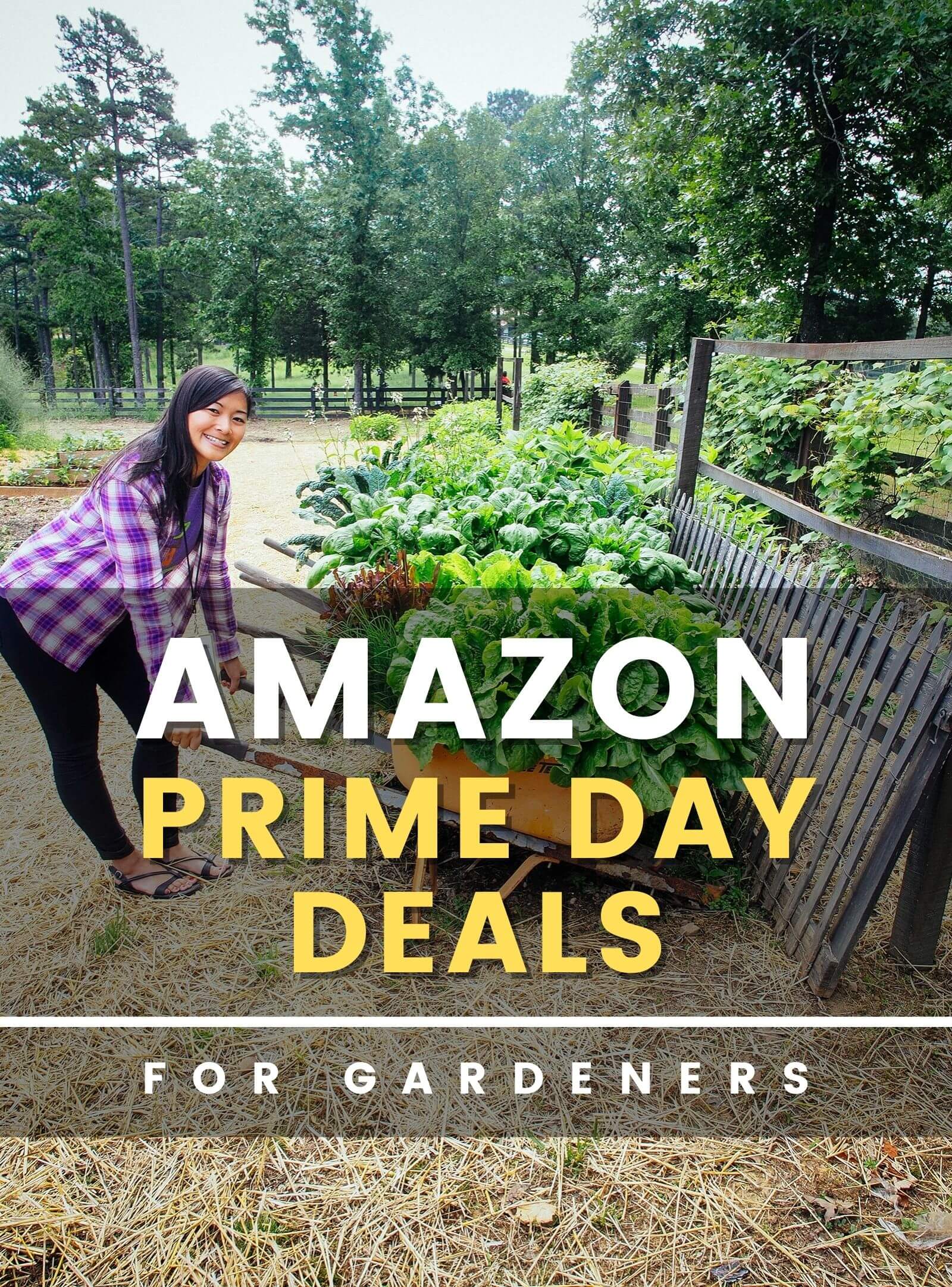 Amazon Prime Day Deals for yard and gardening supplies