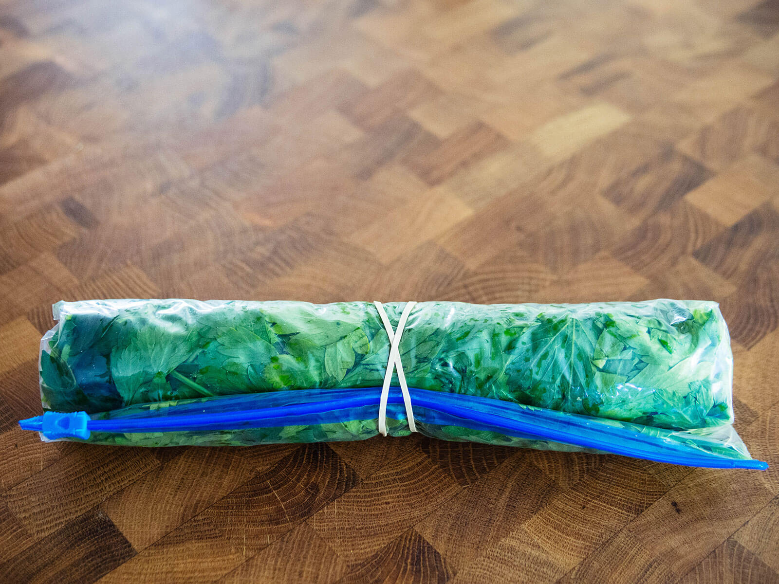Rolled up freezer bag full of parsley leaves, wrapped with a rubberband