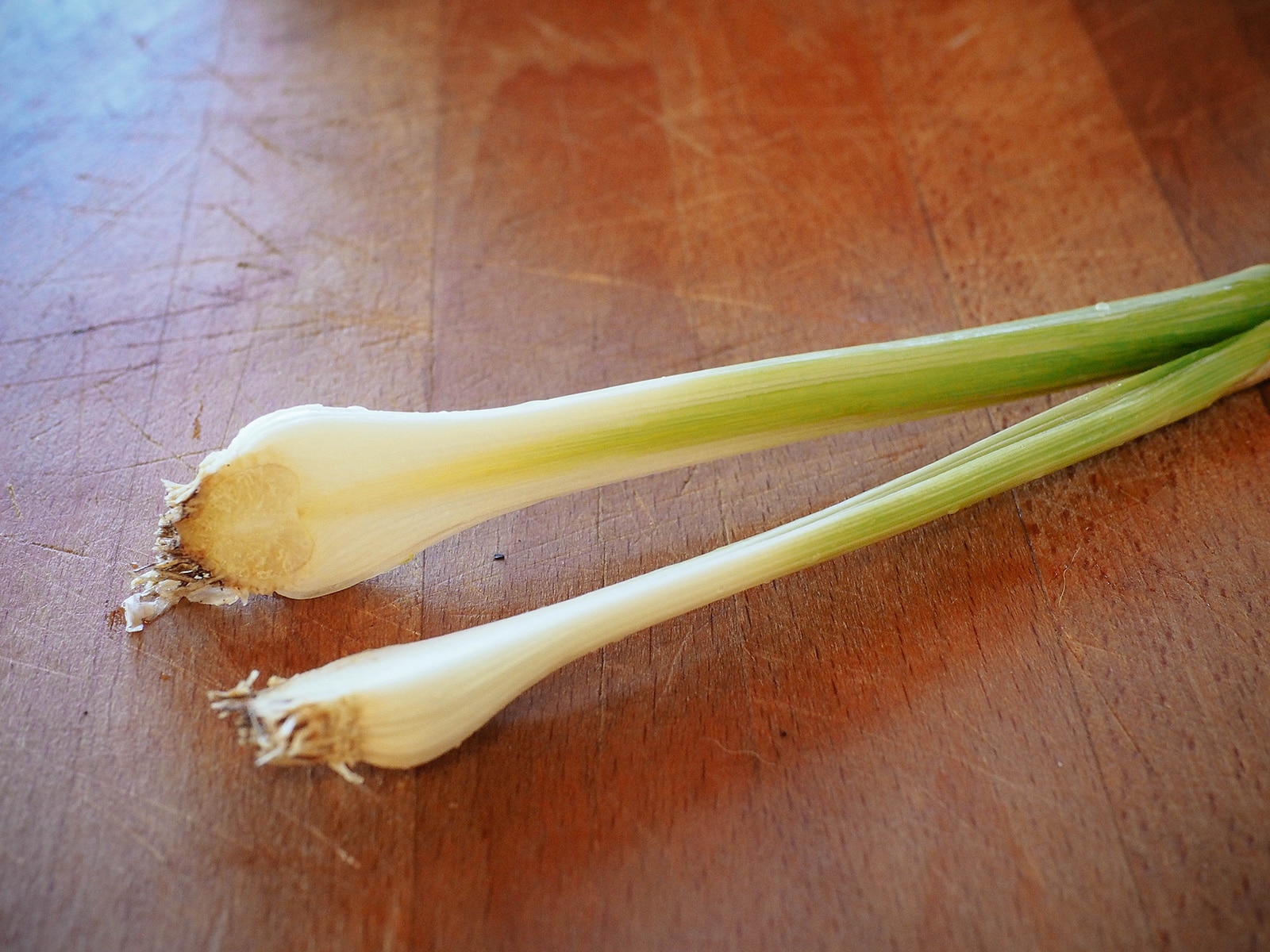 A green garlic stem and bulb split in half