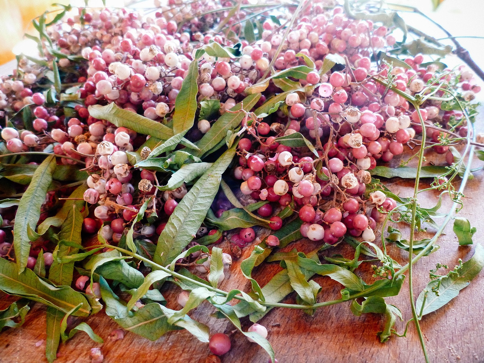 A cluster of pink pepper tree stems on a counter