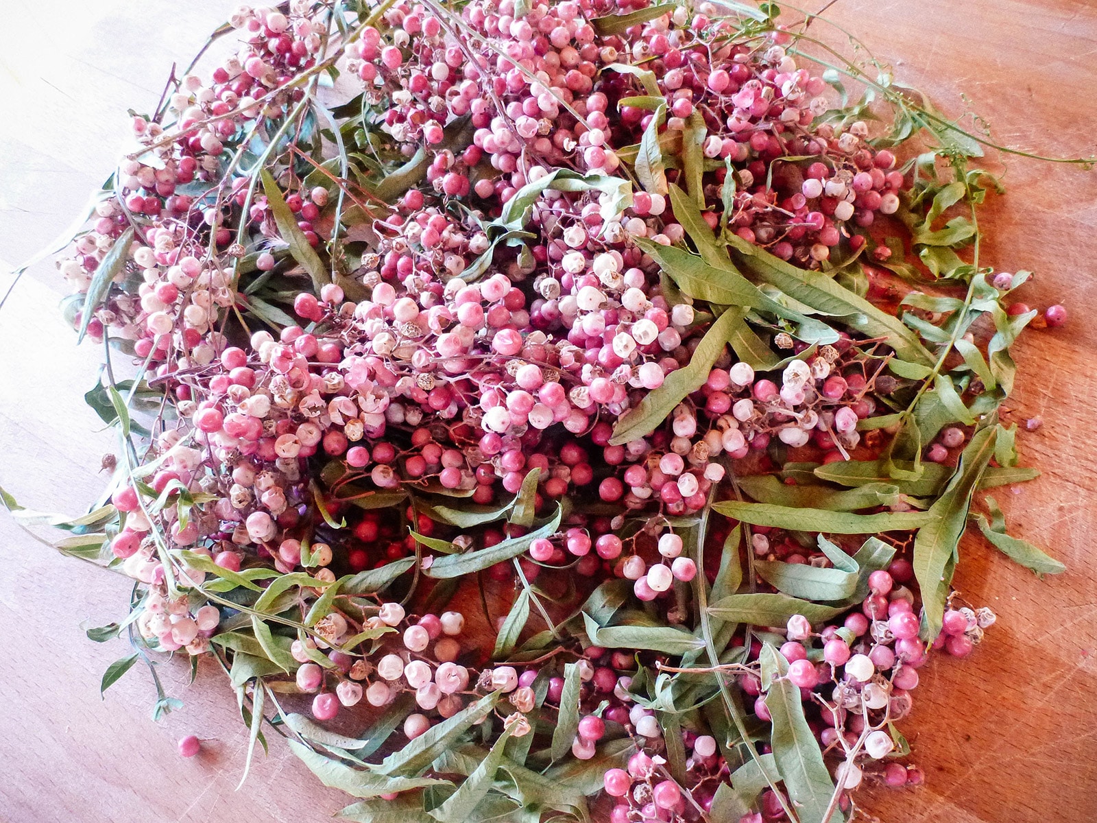 Stems full of ripe Peruvian pepper tree berries on a counter