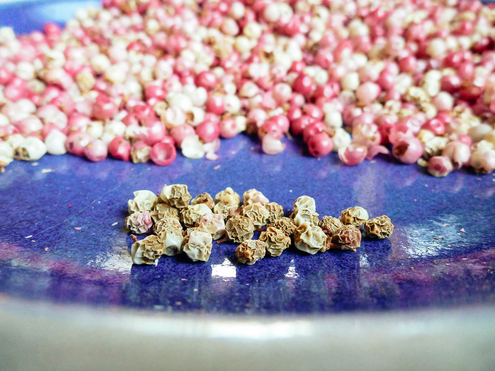 Peruvian pink peppercorns with hardened and shriveled tan shells