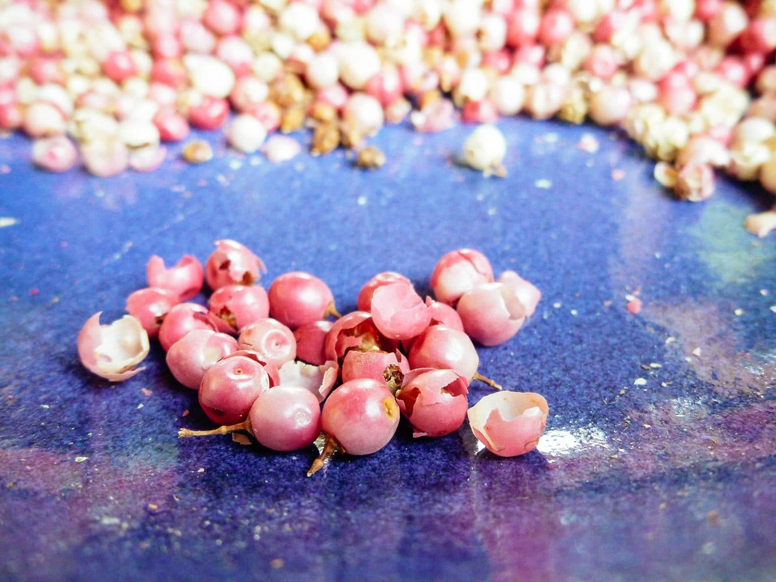 Pink Peppercorns Come From a Common Tree—Here’s How to Forage Them