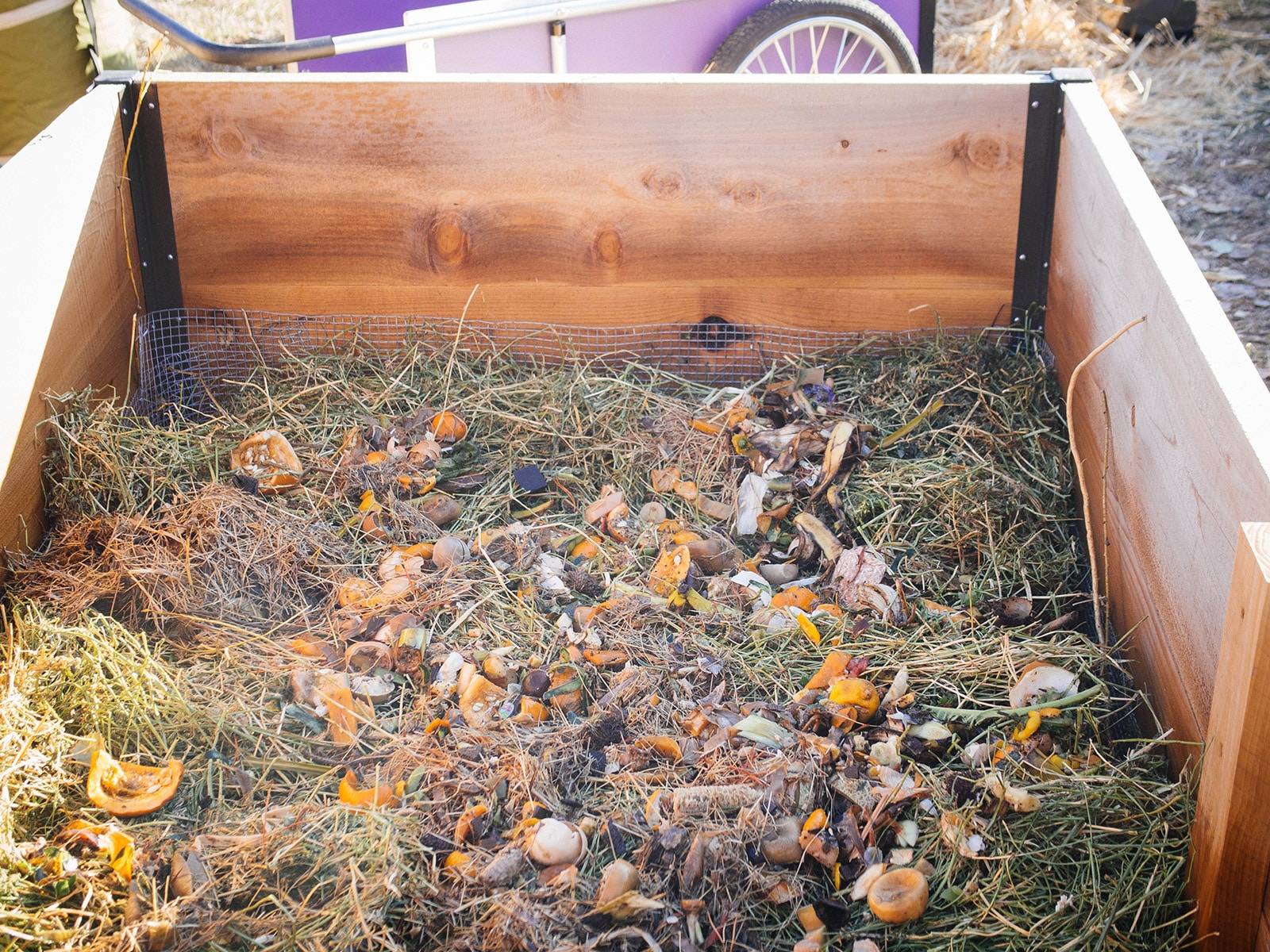 Food scraps composting in place in a lasagna garden bed