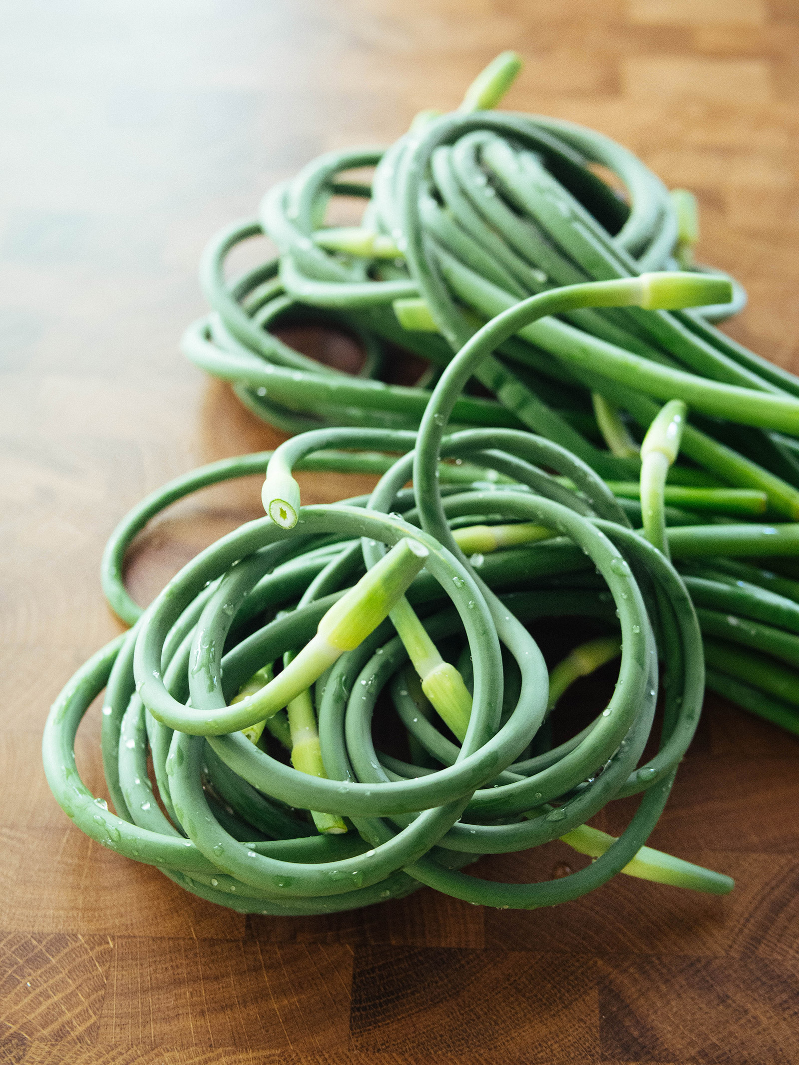 How and when to harvest garlic scapes