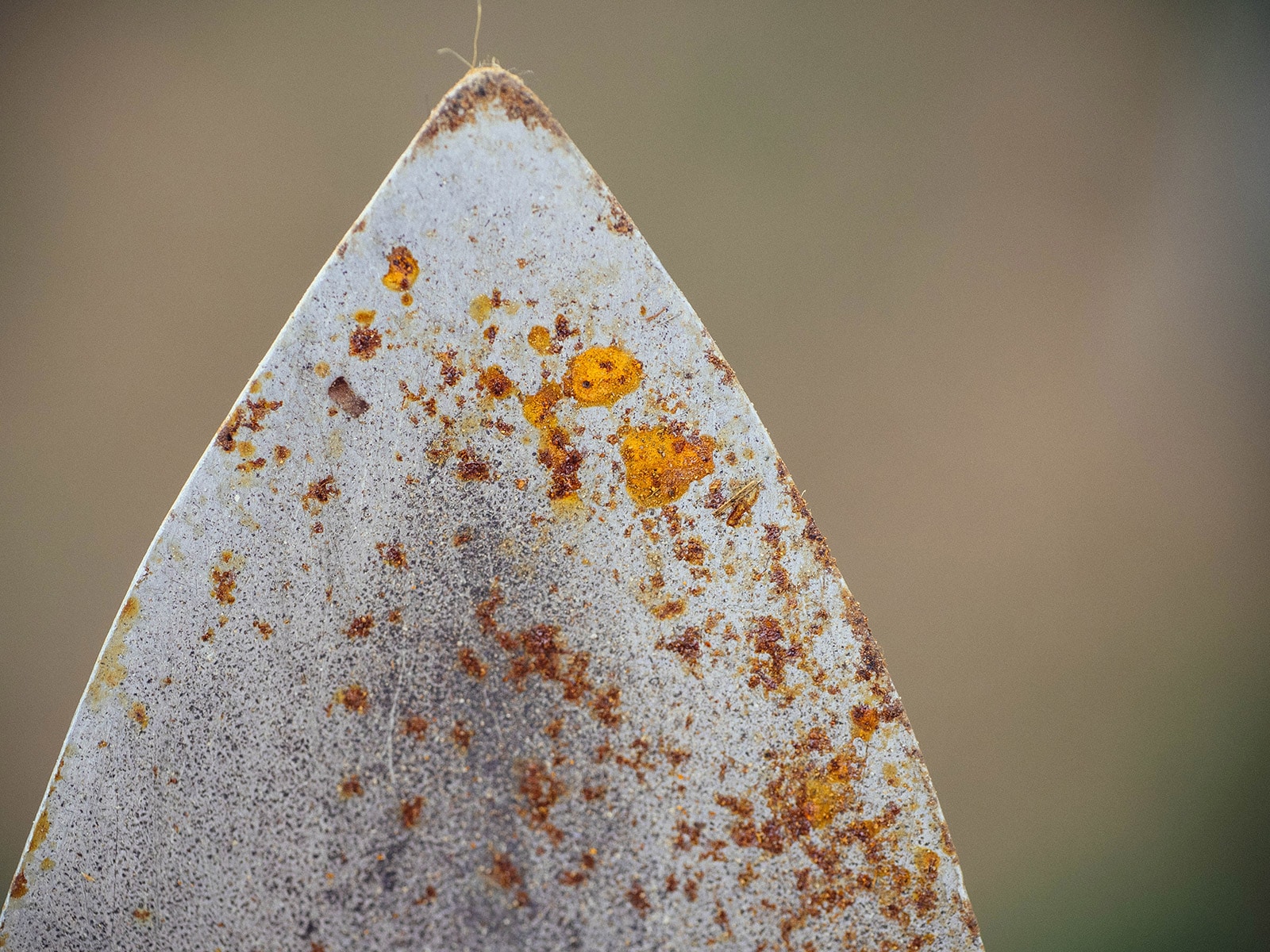 Close-up of rust on tip of hori hori knife blade