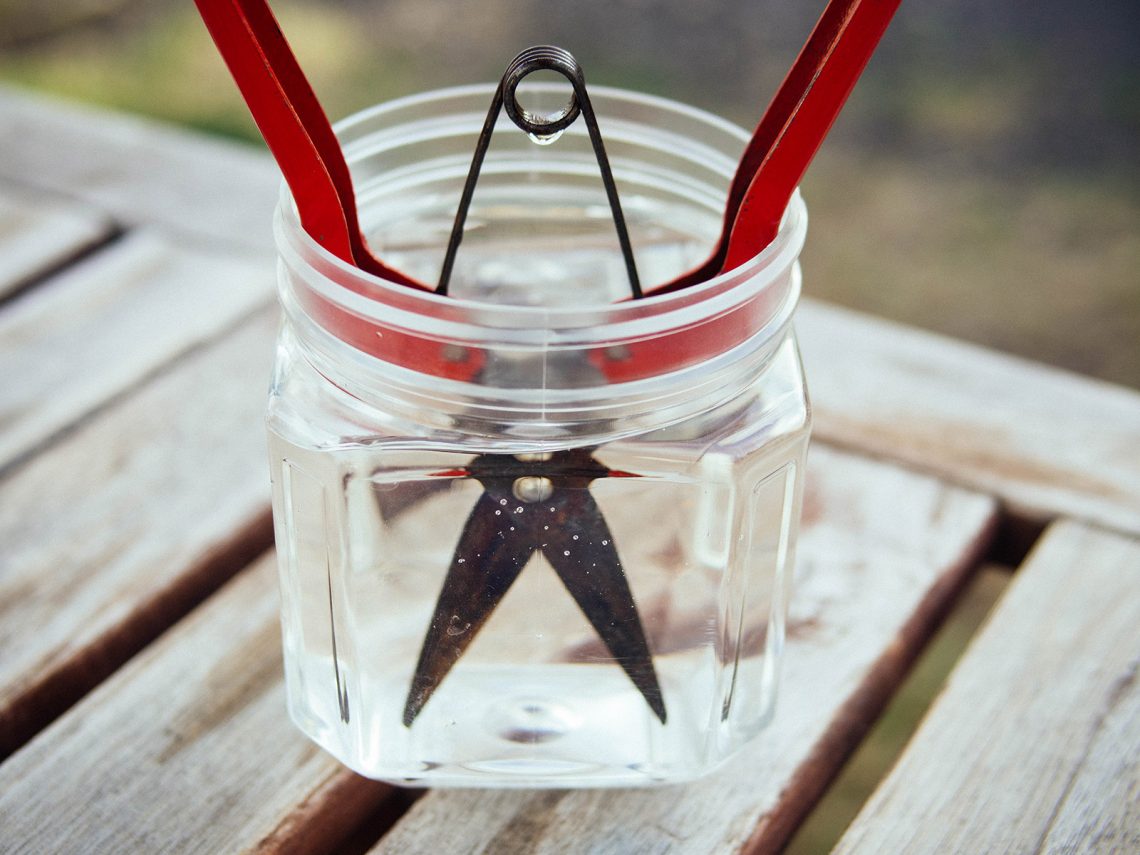 Soaking Rusted Tools The Best Way to Remove Rust From Tools—No Scrubbing Required - Garden Betty