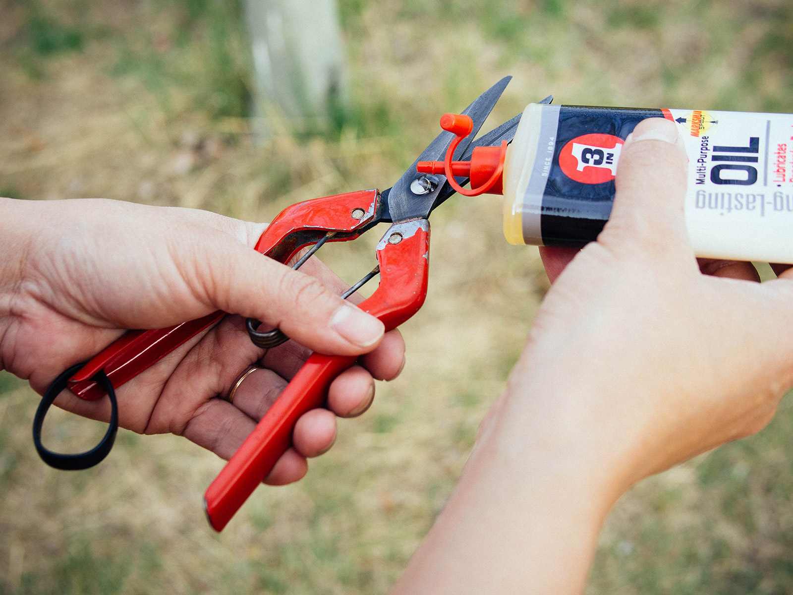 Woman applying a few drops of 3-IN-ONE Multi-Purpose Oil to the pivot joint of a pair of pruners