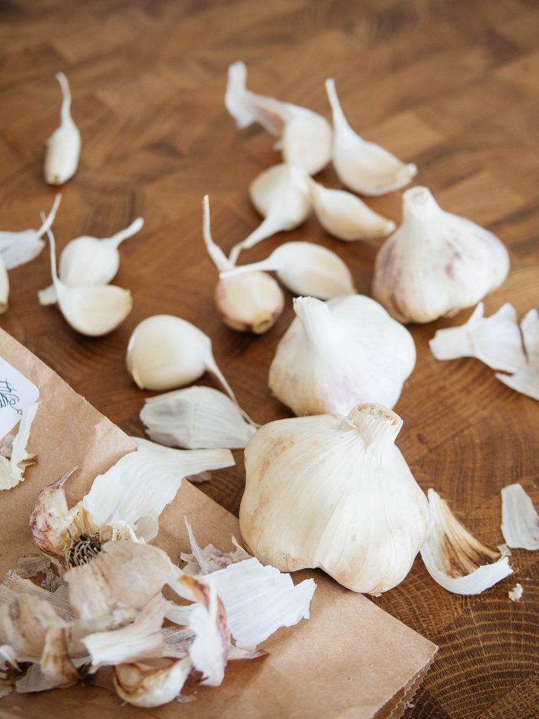 How to Choose the Best Garlic Varieties For Your Garden