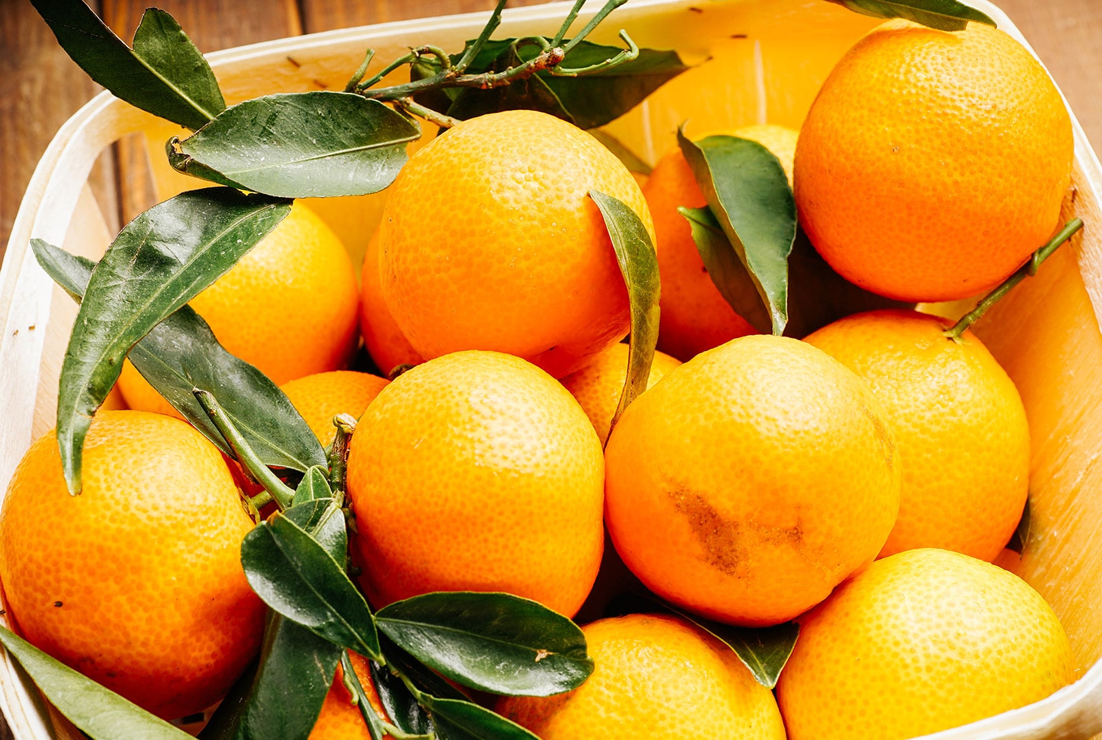 A basket of fresh-picked mandarins