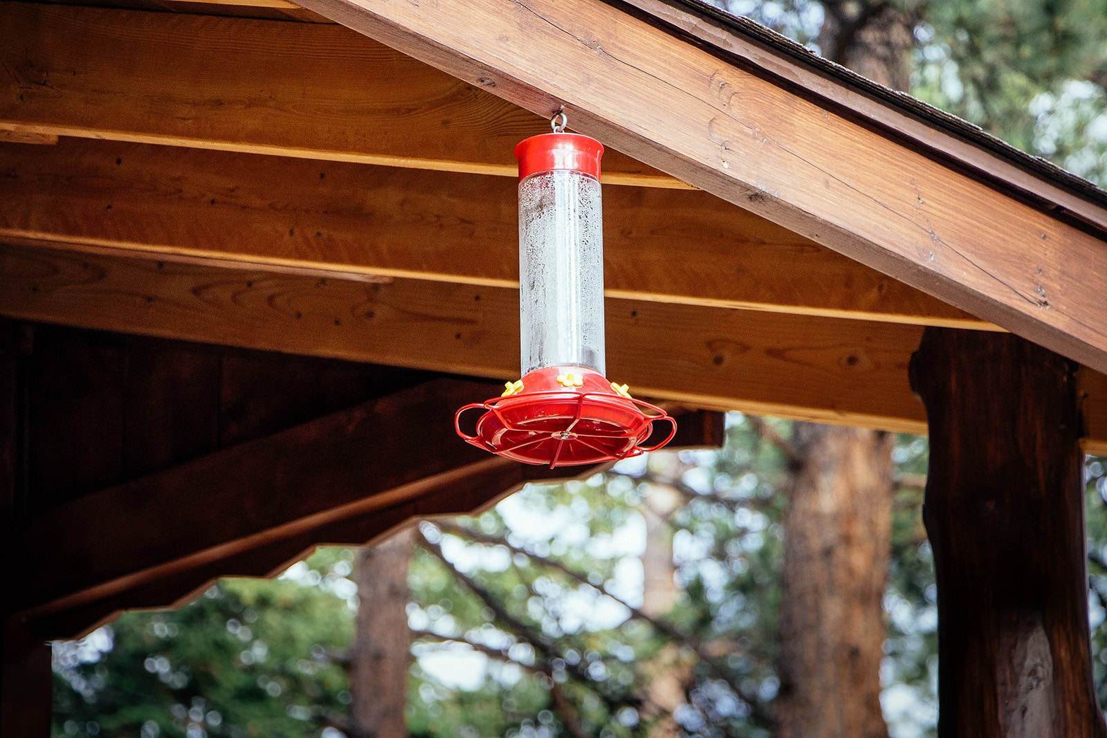 Hummingbird feeder hanging under a covered porch