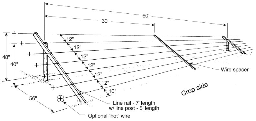 Diagram showing how to construct a seven-wire slanted deer fence