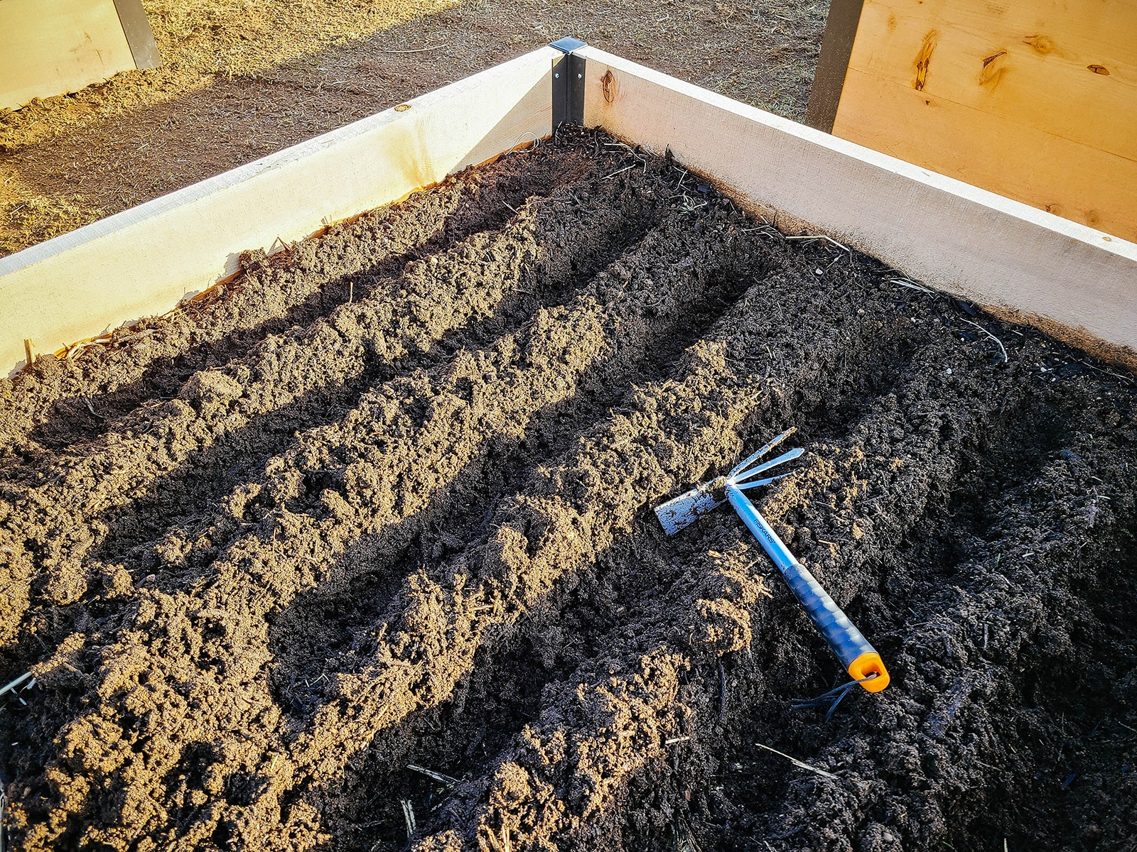 A cultivator tool resting on rows of furrows made in a raised bed