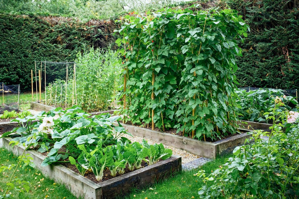Plant Spacing Made Easy How to Plant Intensively in a Raised Bed Garden Betty