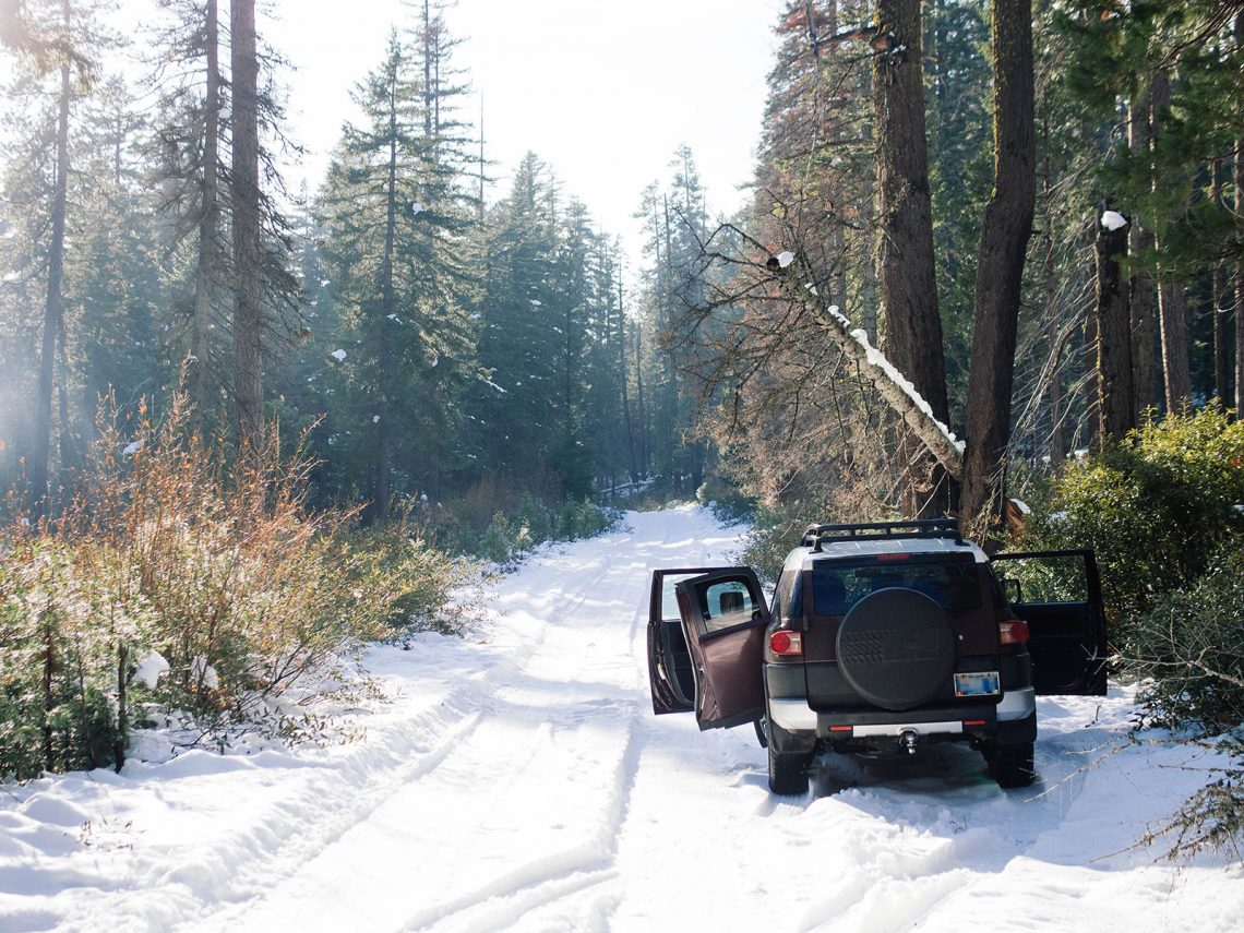 Locals’ Secret Where to Cut Your Own Christmas Tree in Oregon’s