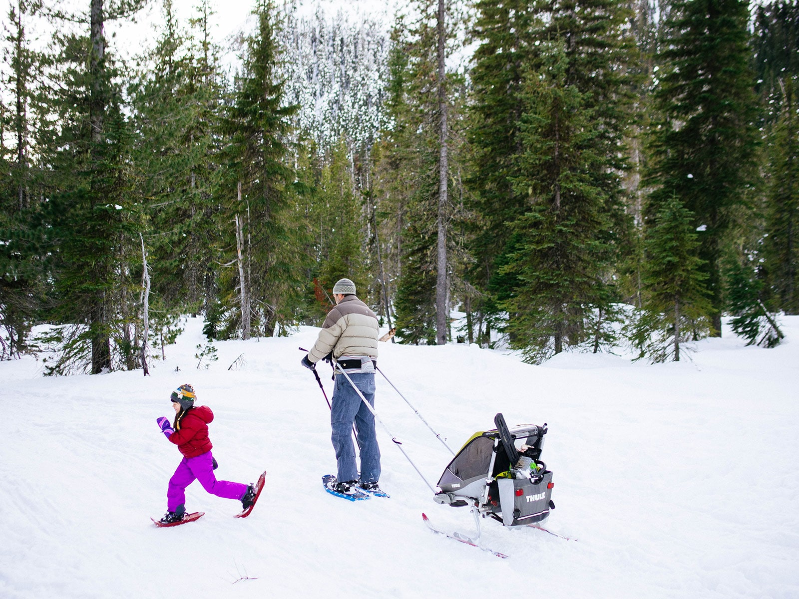 Family on a snowy Christmas tree hunt with daughter running in snowshoes and father pulling a baby chariot on skis