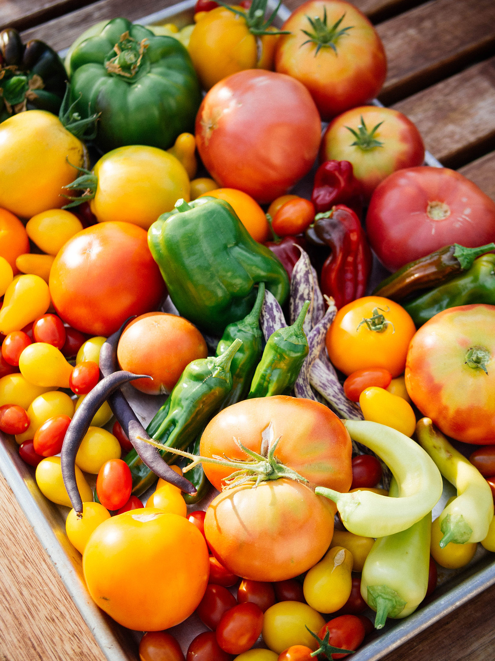 A tray full of homegrown, freshly harvested tomatoes, peppers, and beans in an array of colors