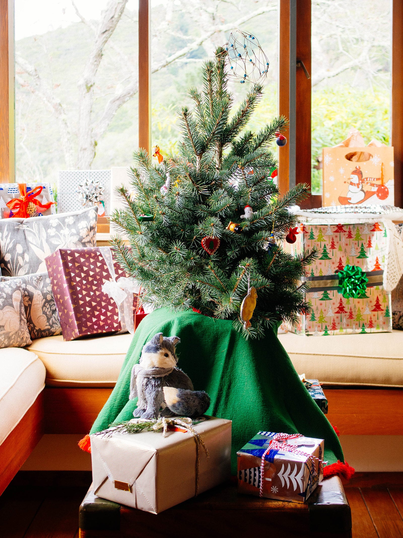 The best way to care for a potted Christmas tree so you can plant it afterward