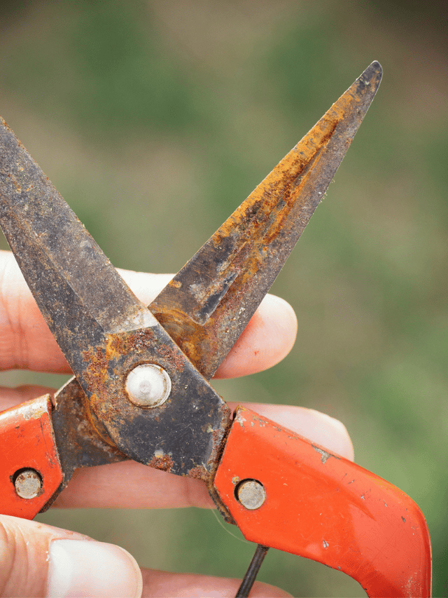 How To Remove Rust From Tools No Scrubbing Required Garden Betty