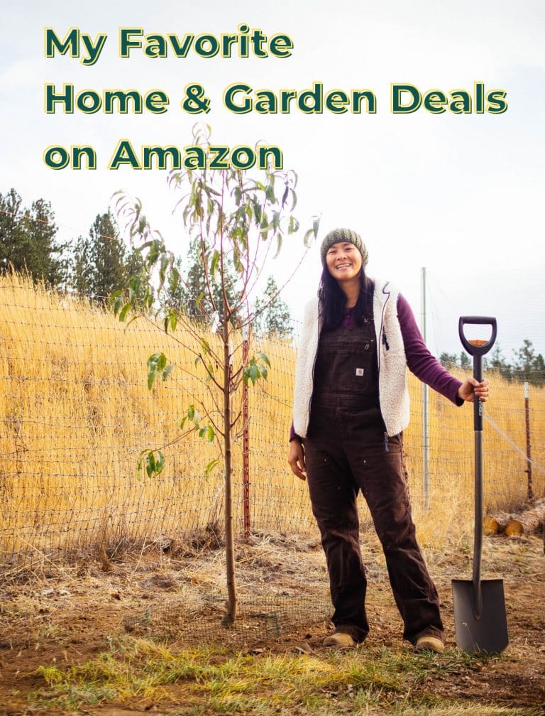 My Favorite Home and Garden Deals in the Amazon Prime Early Access Sale + $500 Gift Card Giveaway!
