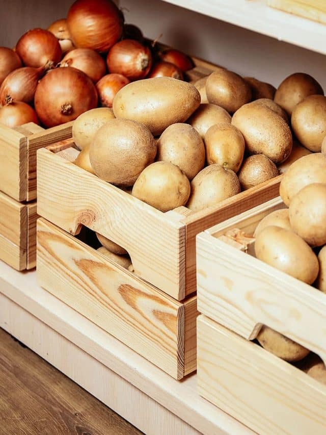 The best way to store vegetables over winter