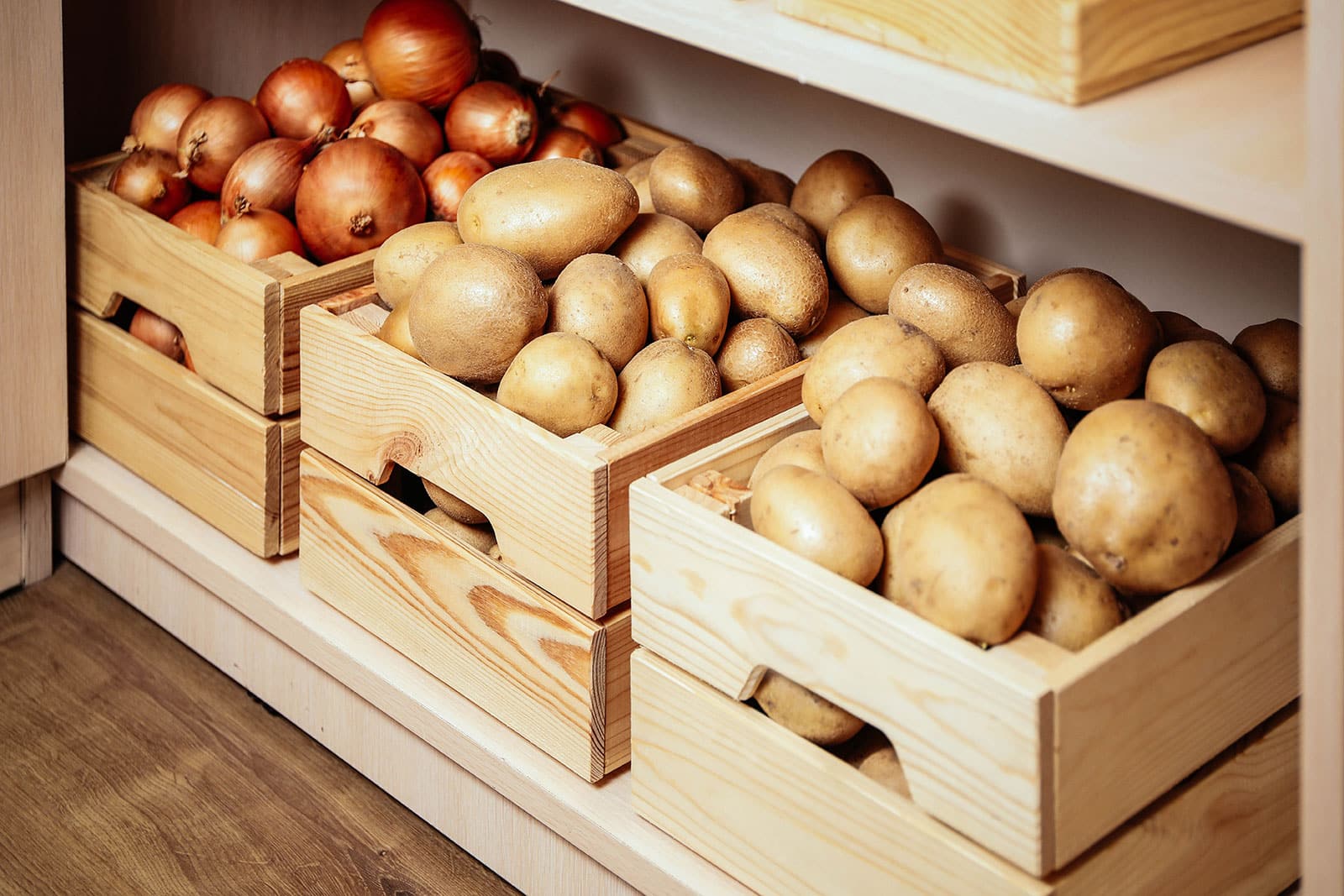 The best way to store vegetables over winter