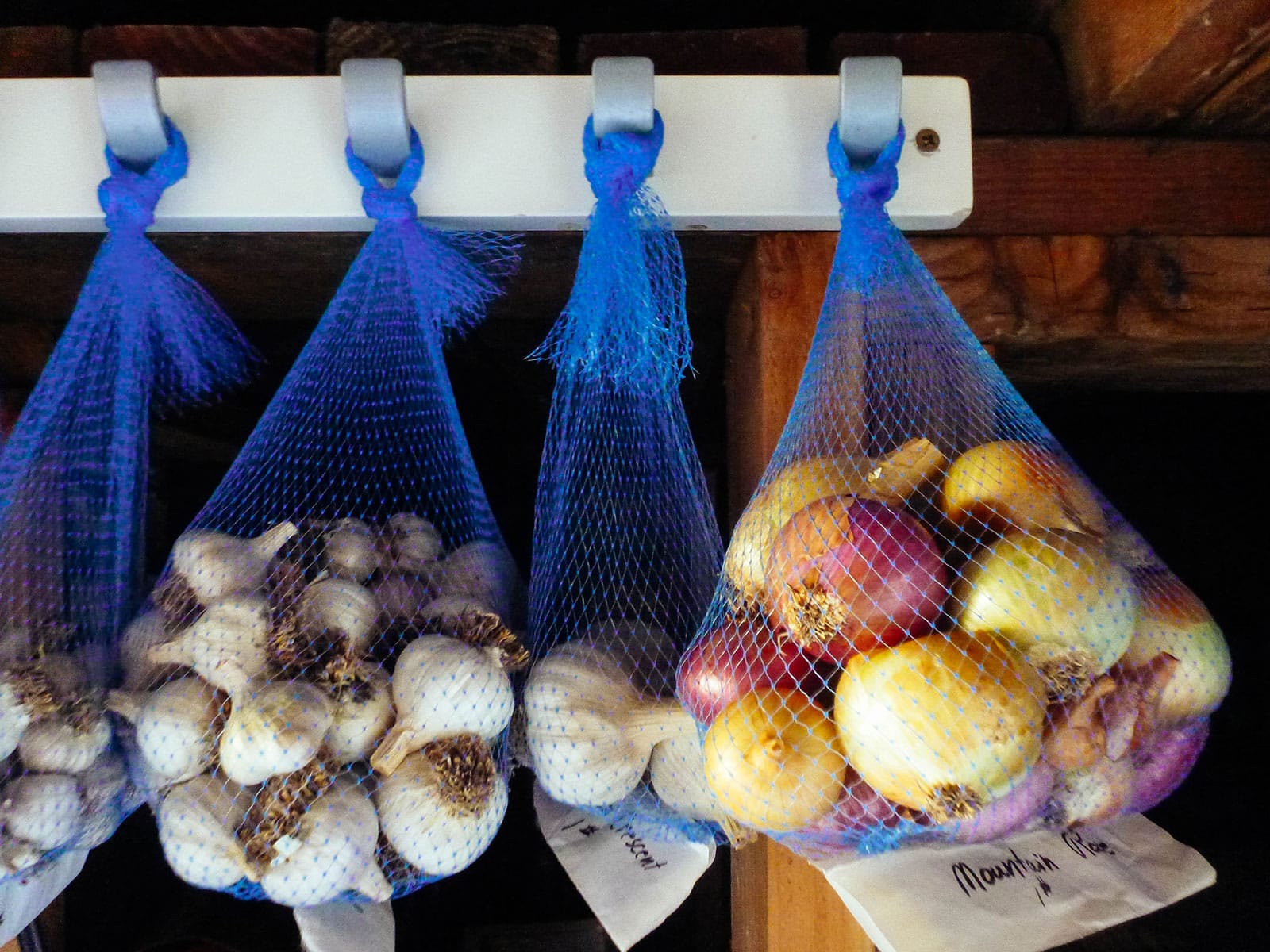 Hanging mesh bags filled with garlic and onions in storage in a basement cellar