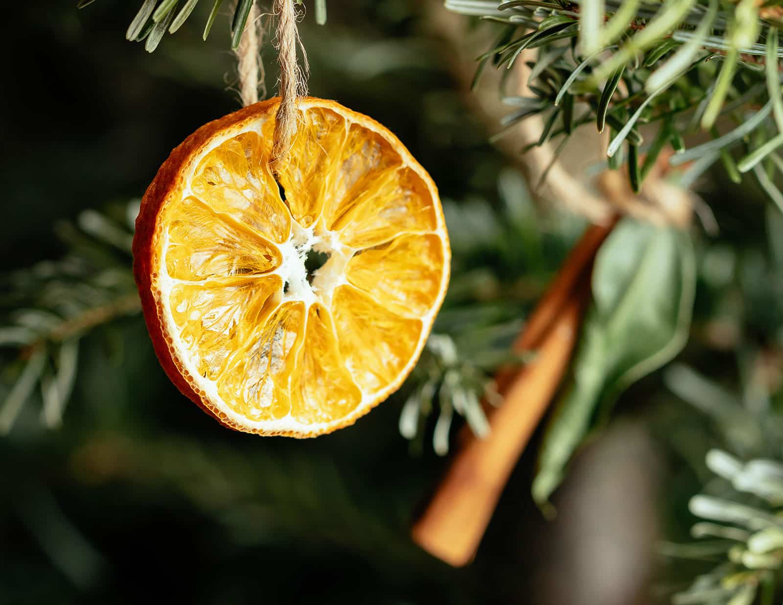Dried orange slice as an ornament