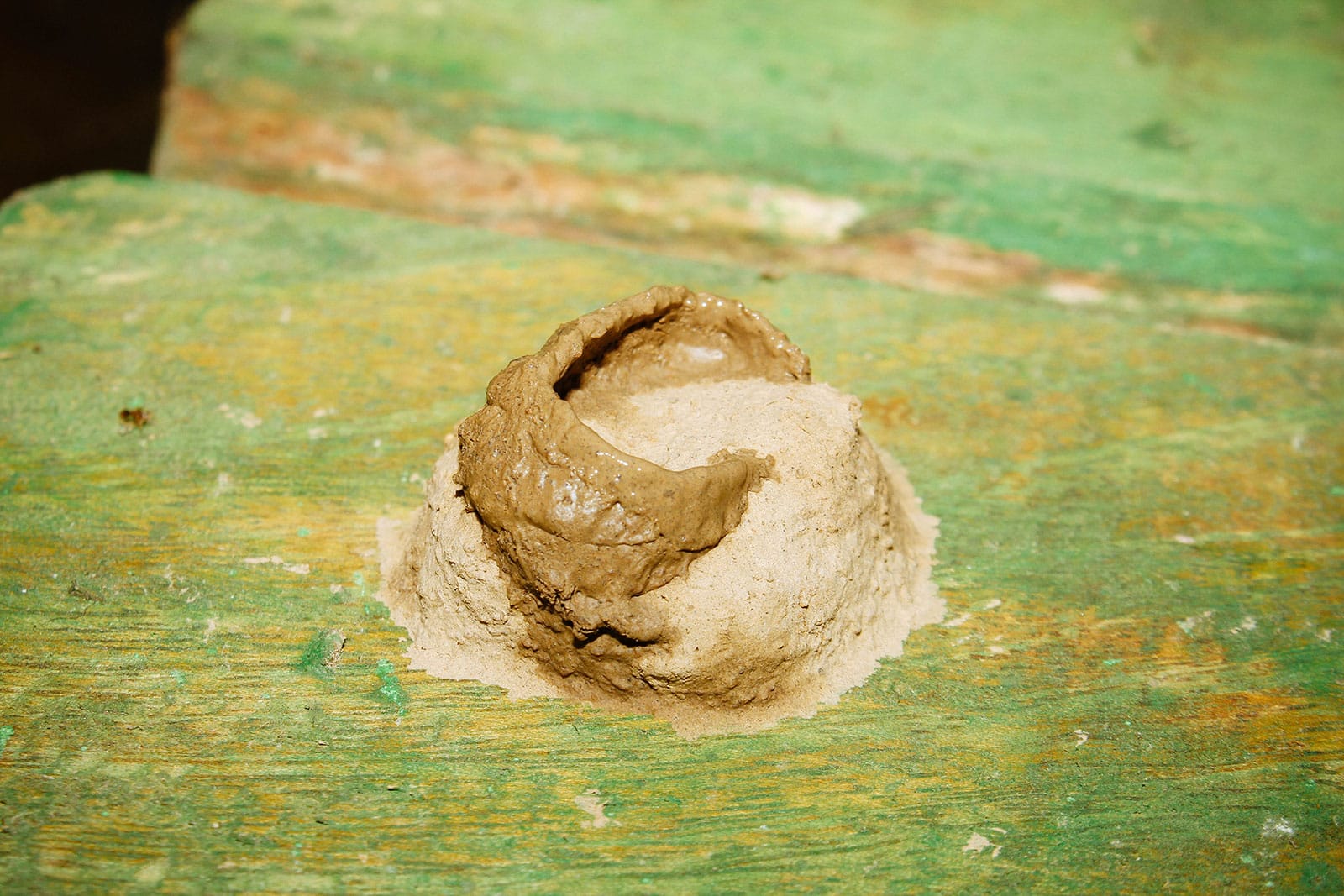 Mud dauber nest resembling a mound of dirt