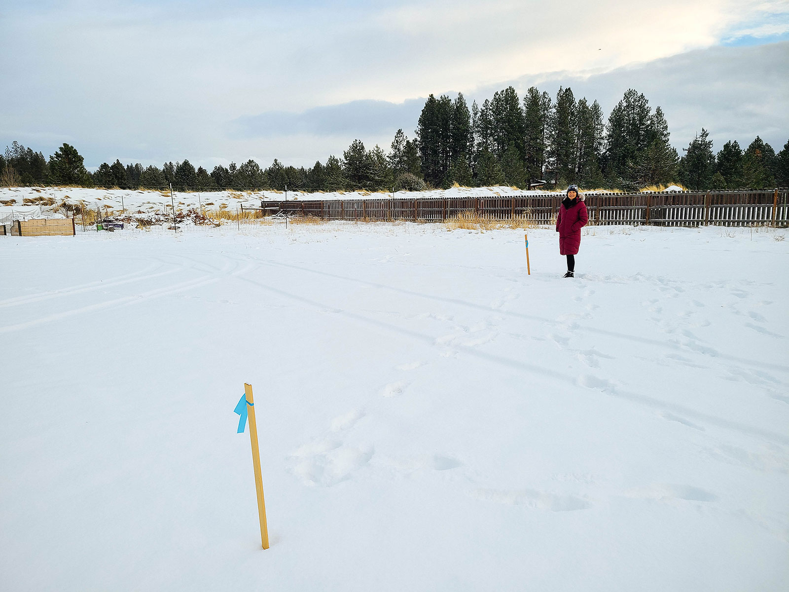Woman in red winter coat standing next to a survey stake in a snowy yard