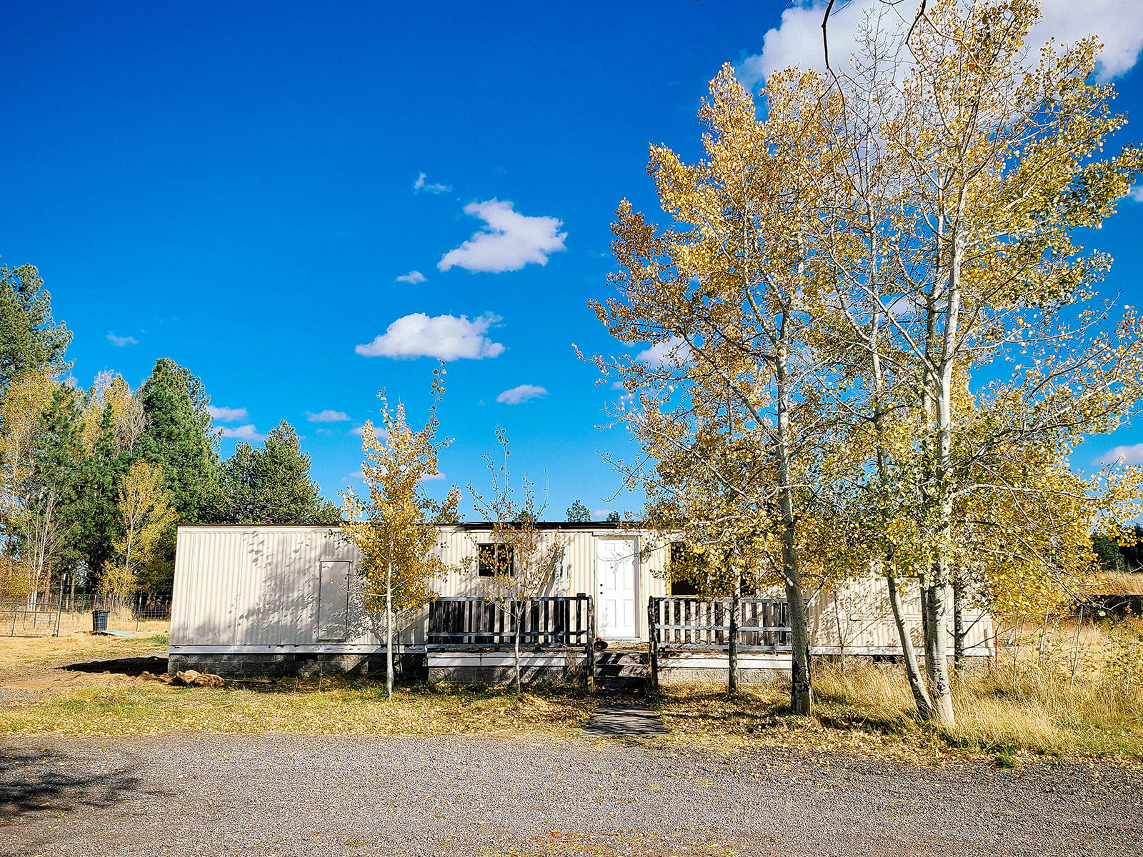 Mobile home with aspen trees in front