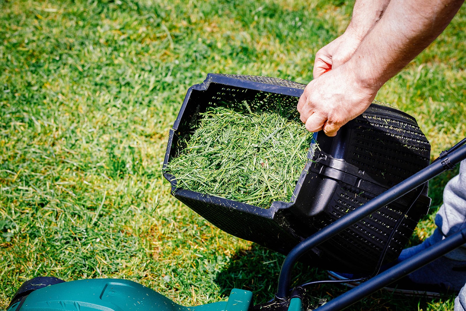 Man's hands picking up a grass catcher bin full of grass clippings from a lawn mower