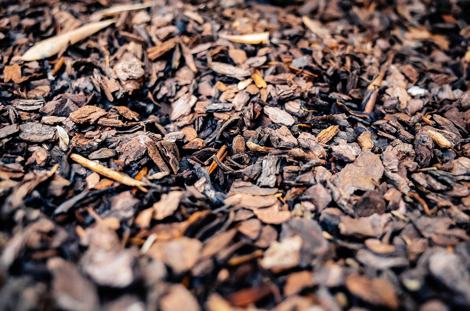 Close-up of shredded bark mulch