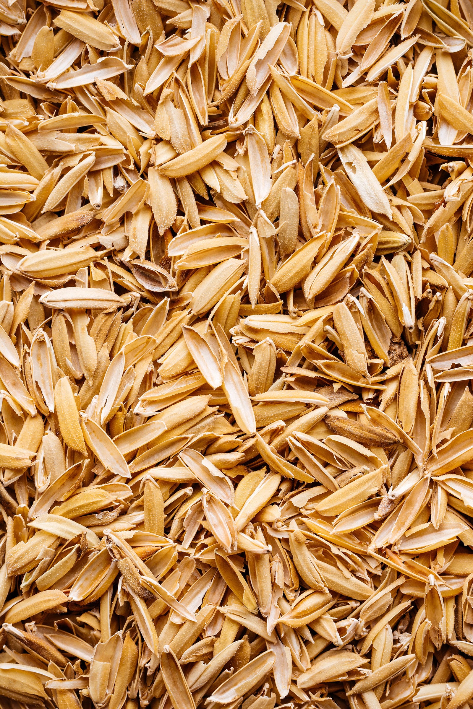 Close-up of rice hulls