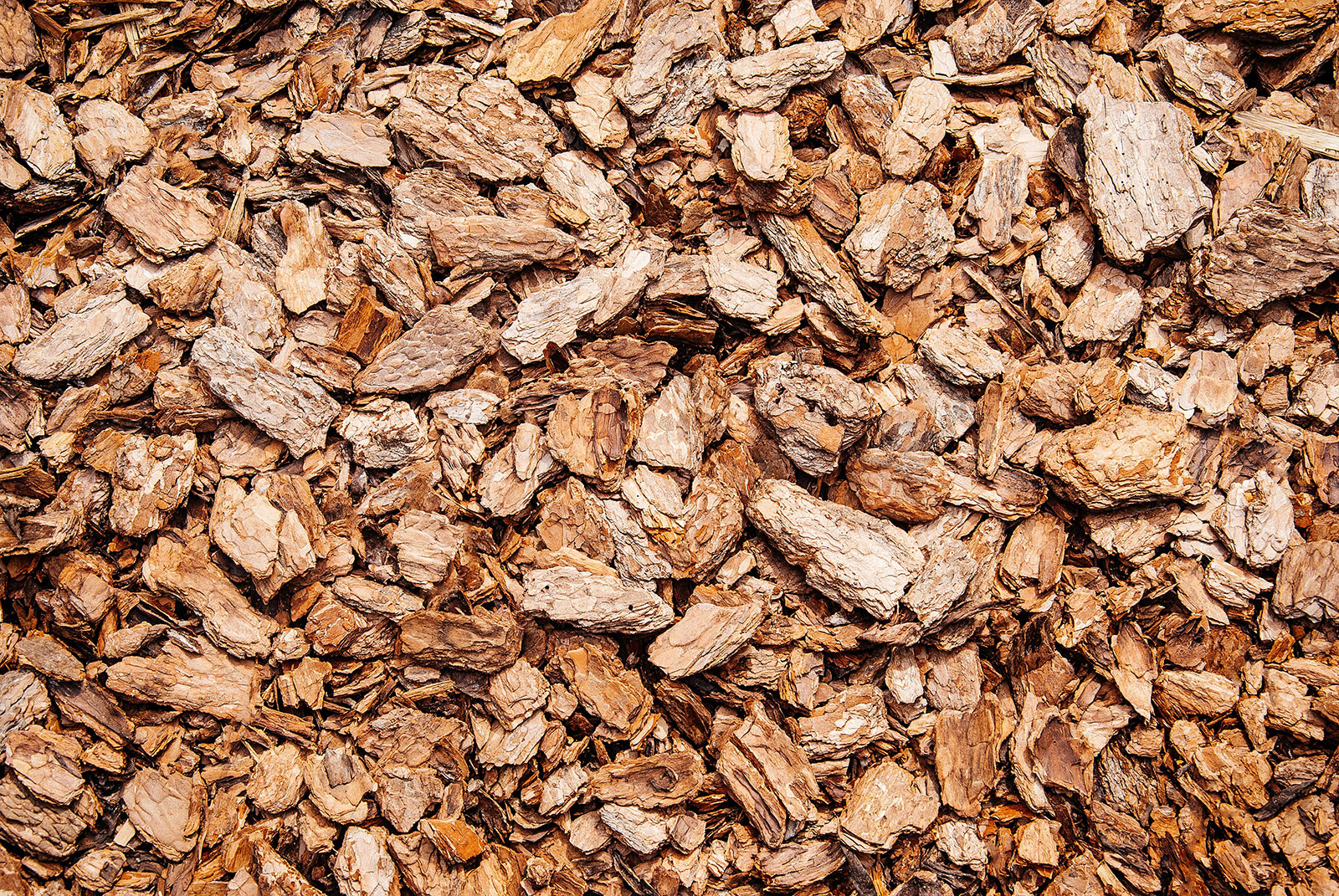 Close-up of shredded pine bark mulch