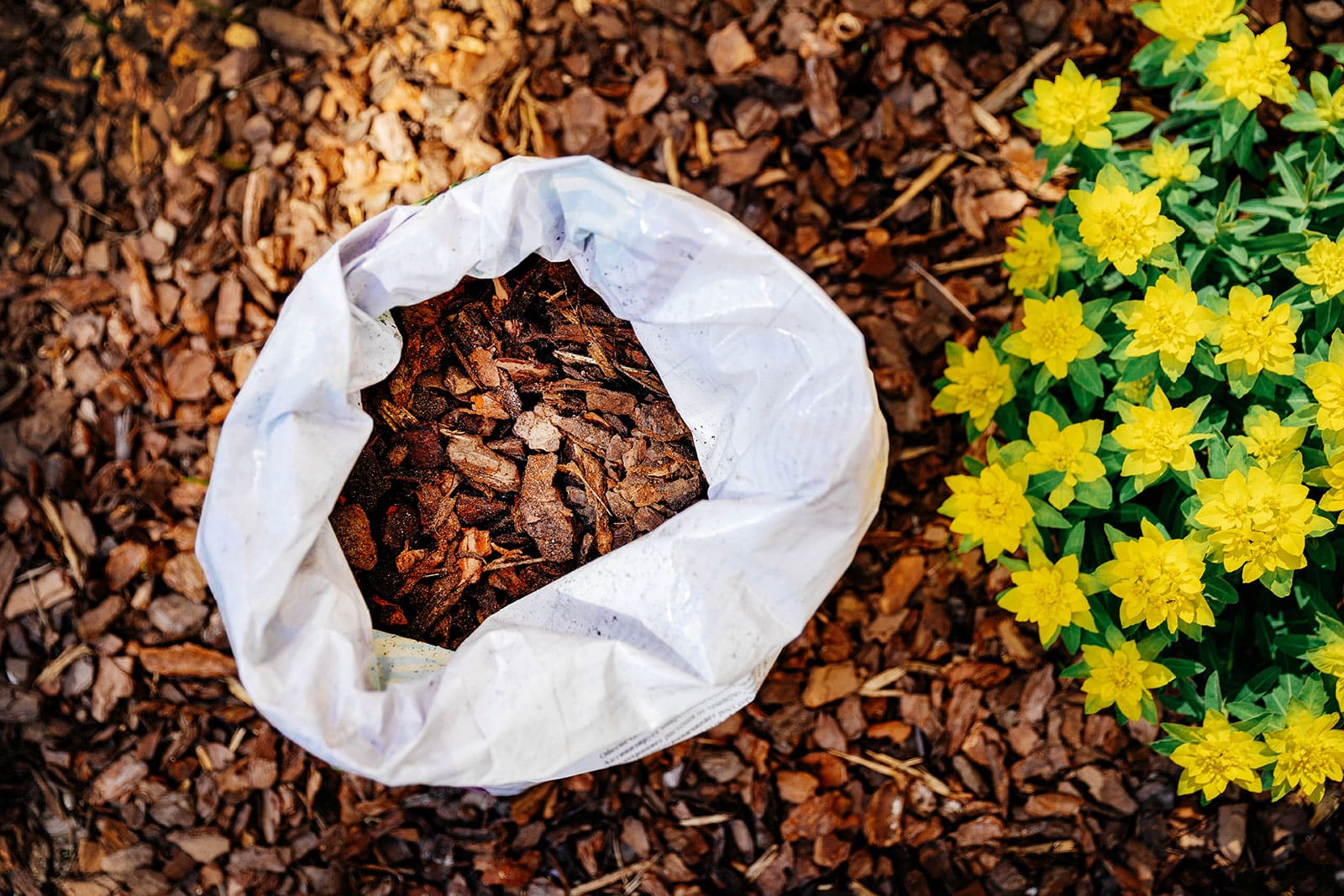 Bag of shredded bark in a mulched flower bed