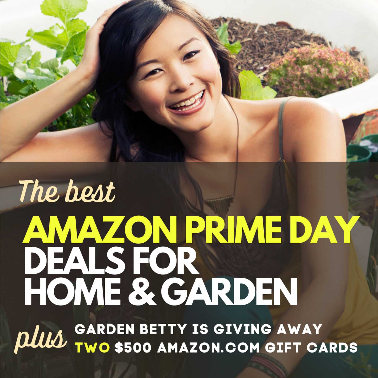 Best home and garden deals during Amazon Prime Big Deal Days