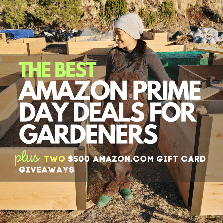 Best Amazon Prime Day Deals for Gardeners + $500 Gift Card Giveaway (2023 Guide)