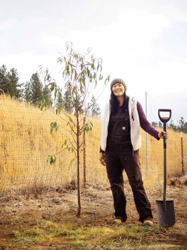 Fall Is the Best Time to Plant Trees—Here’s How