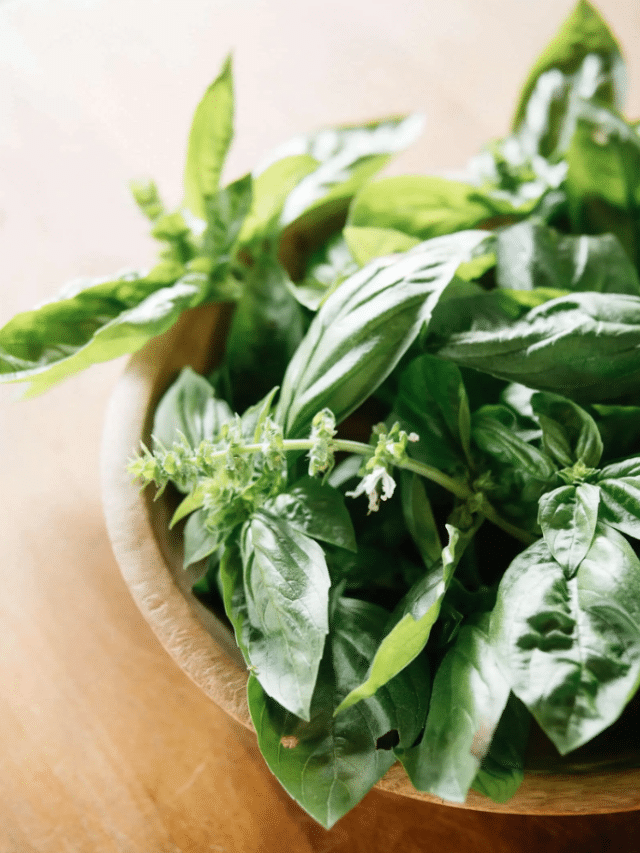 The Best Way to Preserve Basil